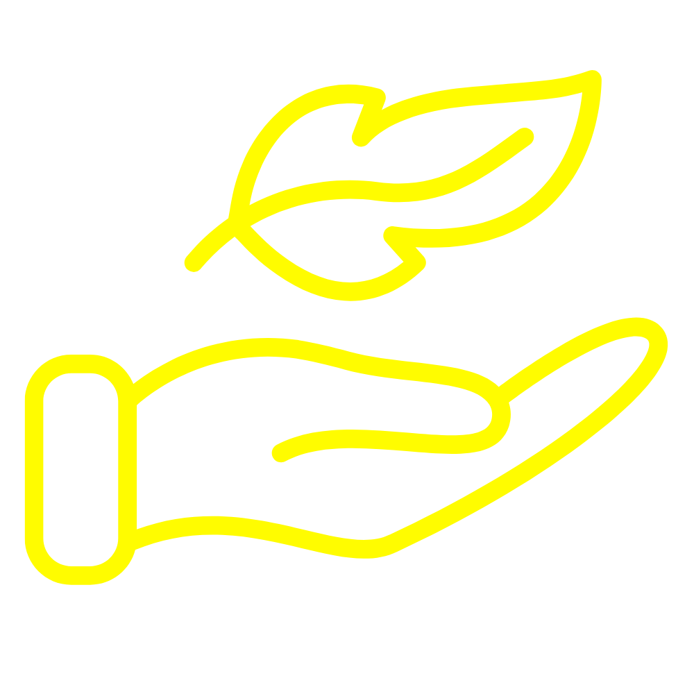 Commanding, Professional Look